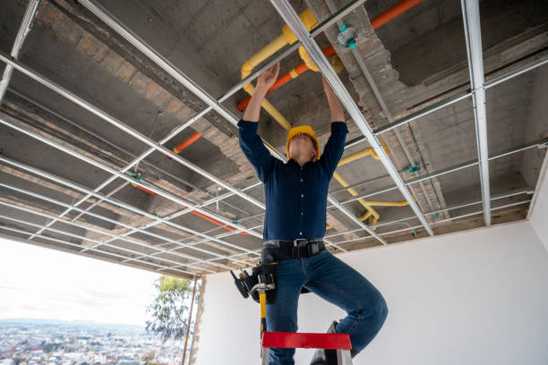Best Pipe Repair Near Me  in Harrogate, TN